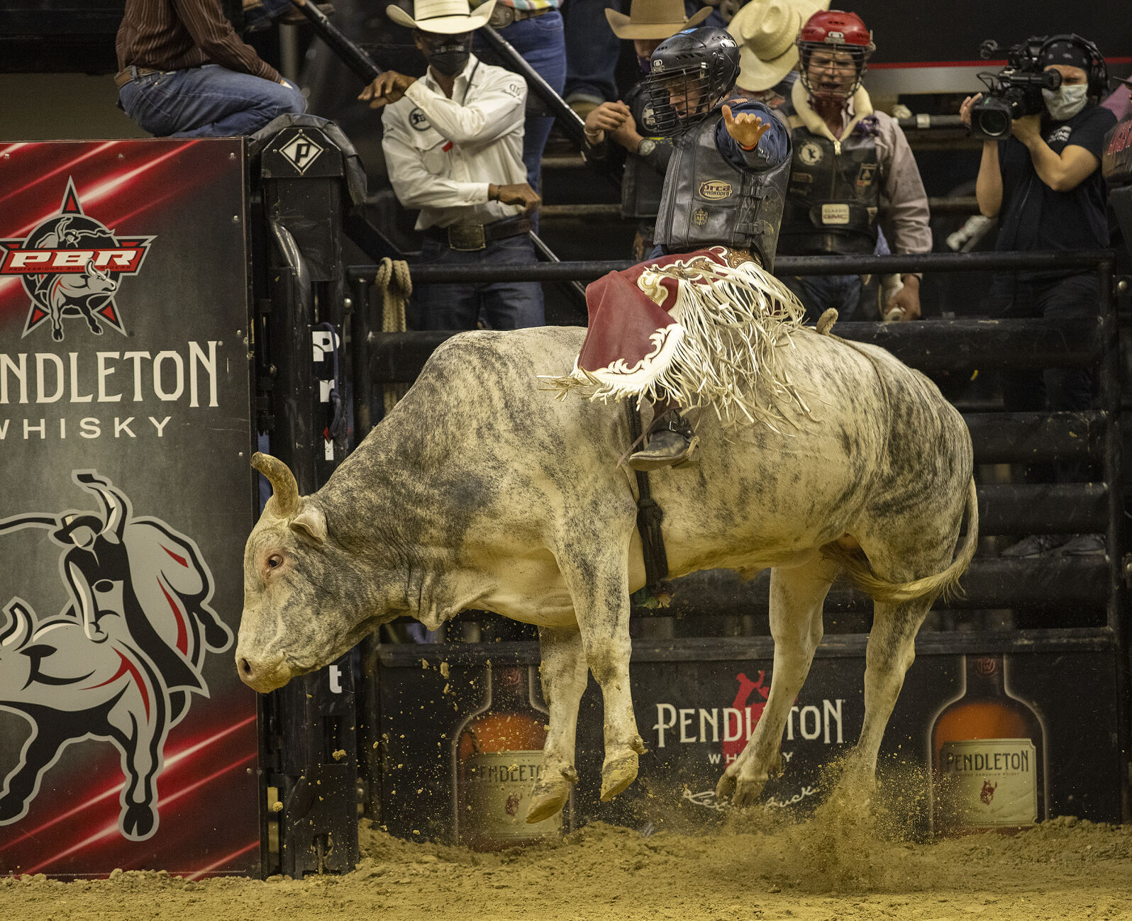Bull riding